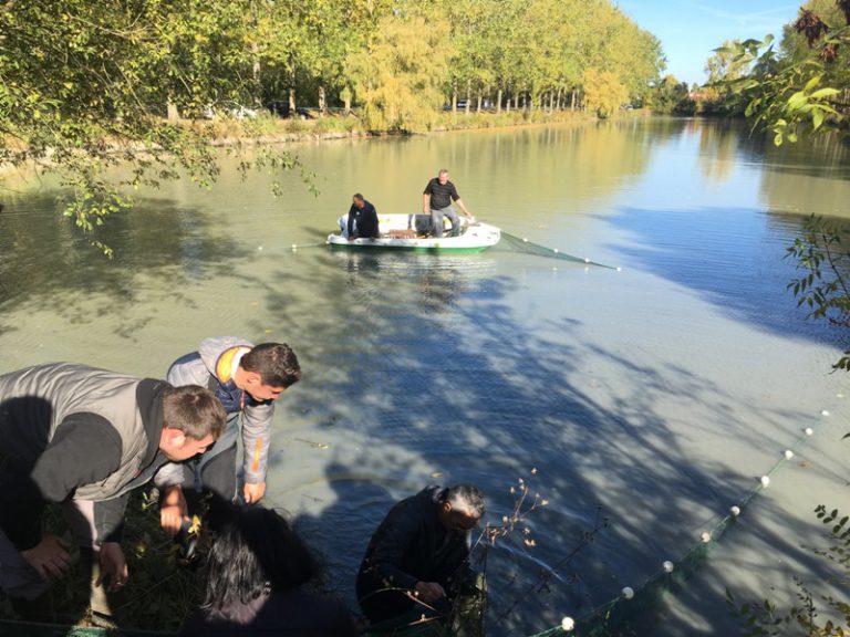 Découvrez les 37 AAPPMA de Vendée Fédération de la pêche 85