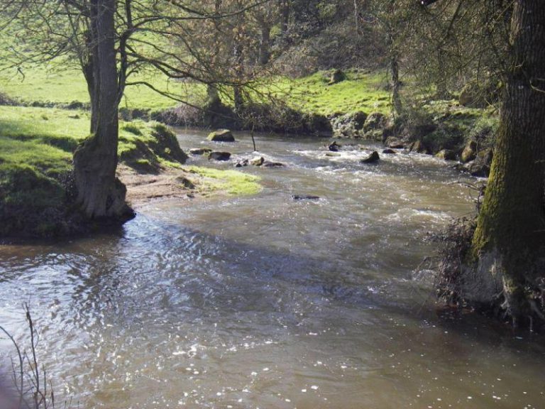 Découvrez les 37 AAPPMA de Vendée Fédération de la pêche 85