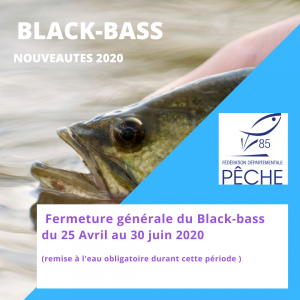 mouche a black bass