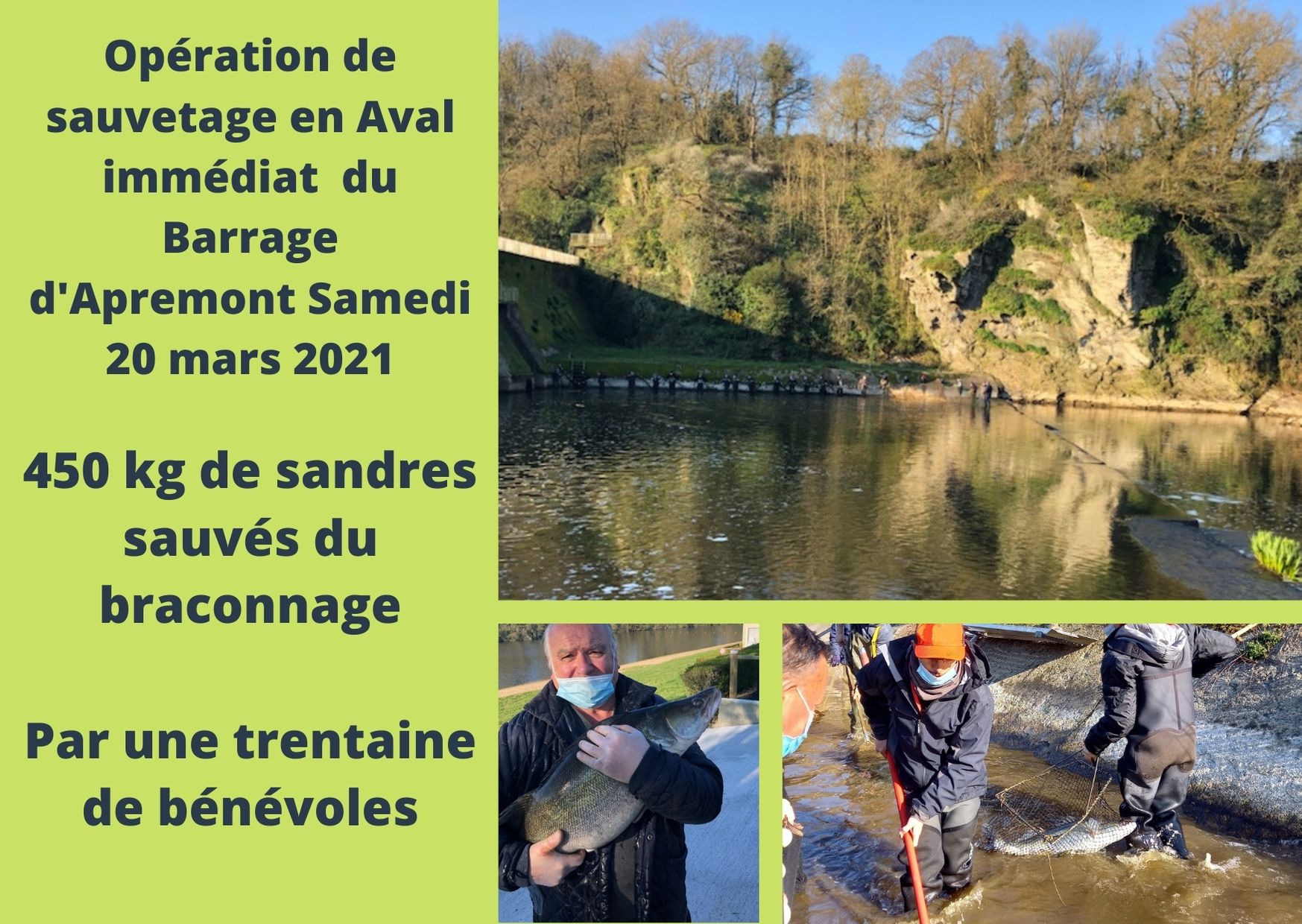 Opération de sauvetage en aval du barrage d’Apremont Fédération de la