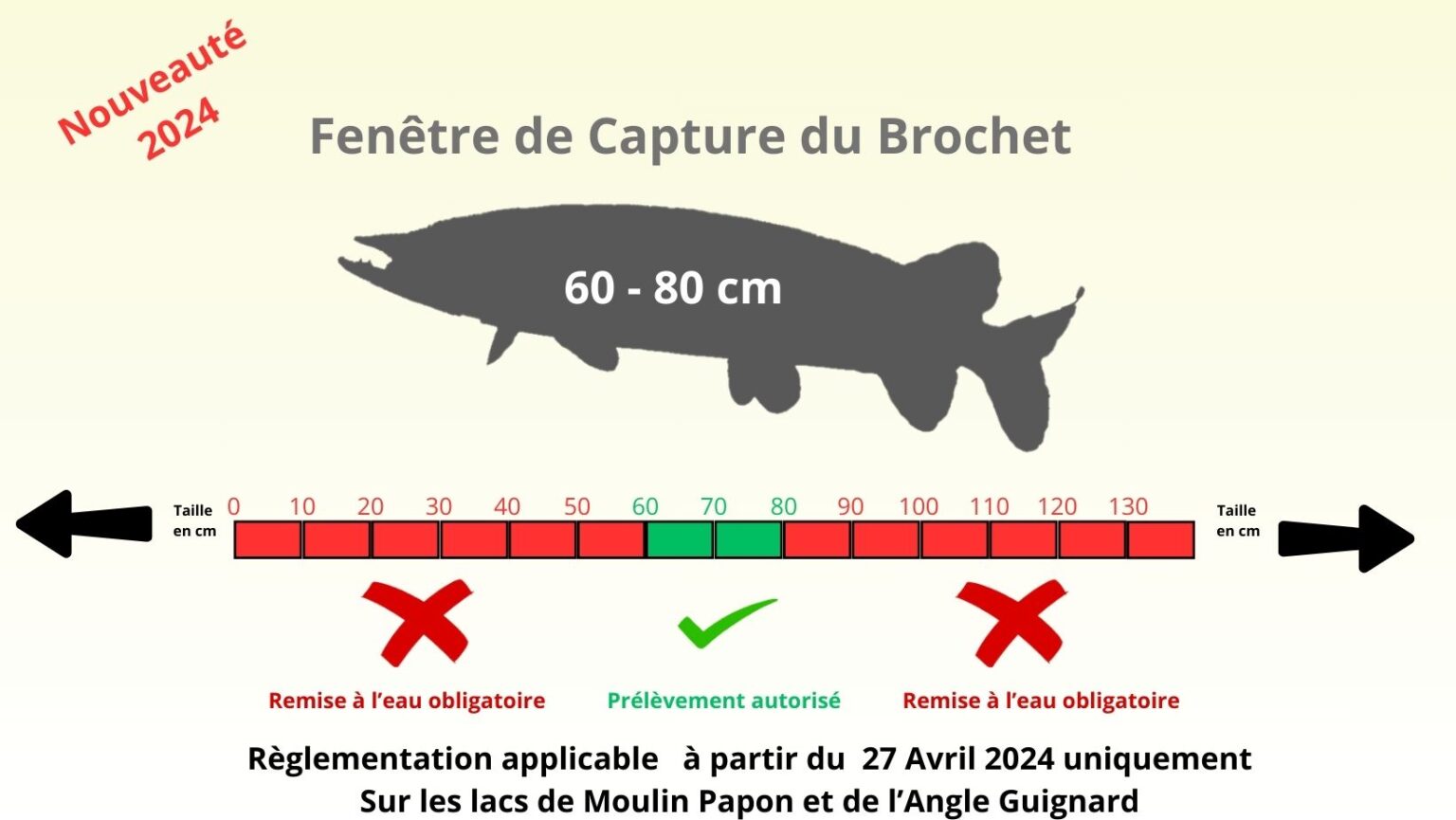 Expérimentation d’une fenêtre de capture brochet sur 2 lacs